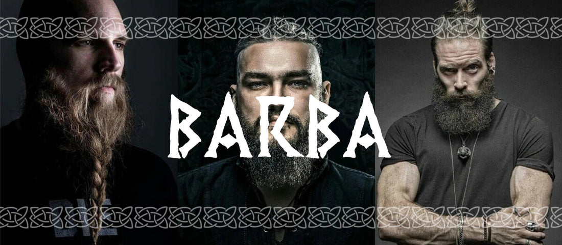 Barba vikinga