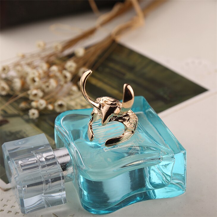 anillo loki