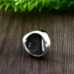 anillo arbol mundo vida