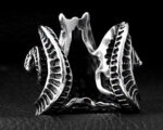 anillo vikingo craneo de cabra