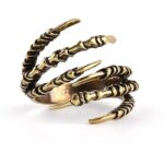 anillo garra dragon