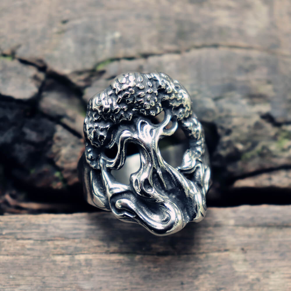 Anillo Tronco Árbol anillo tronco arbol