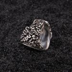 anillo vegvisir