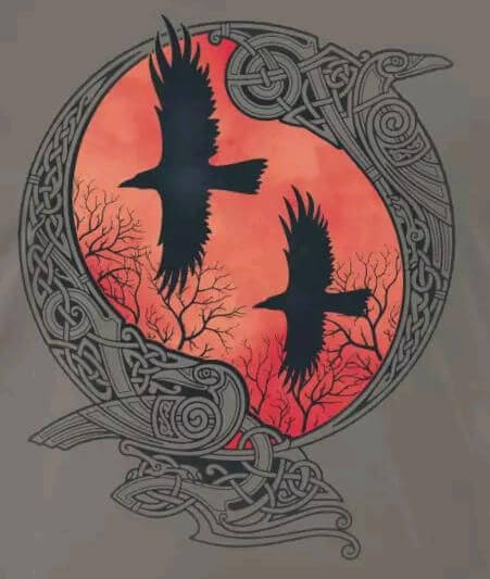 cuervos de odin