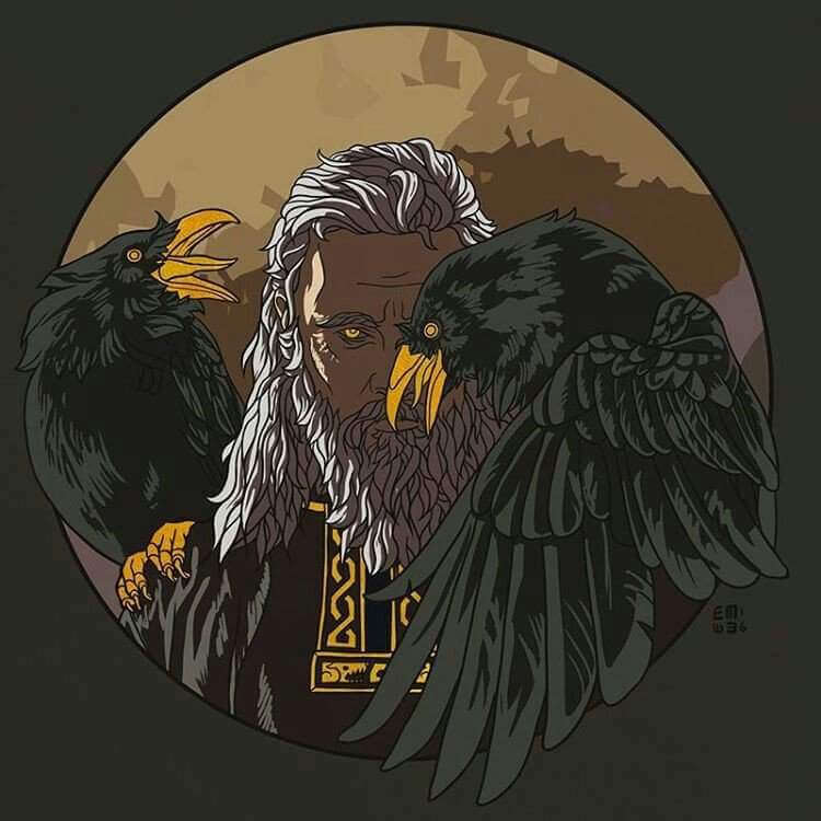 cuervos y odin