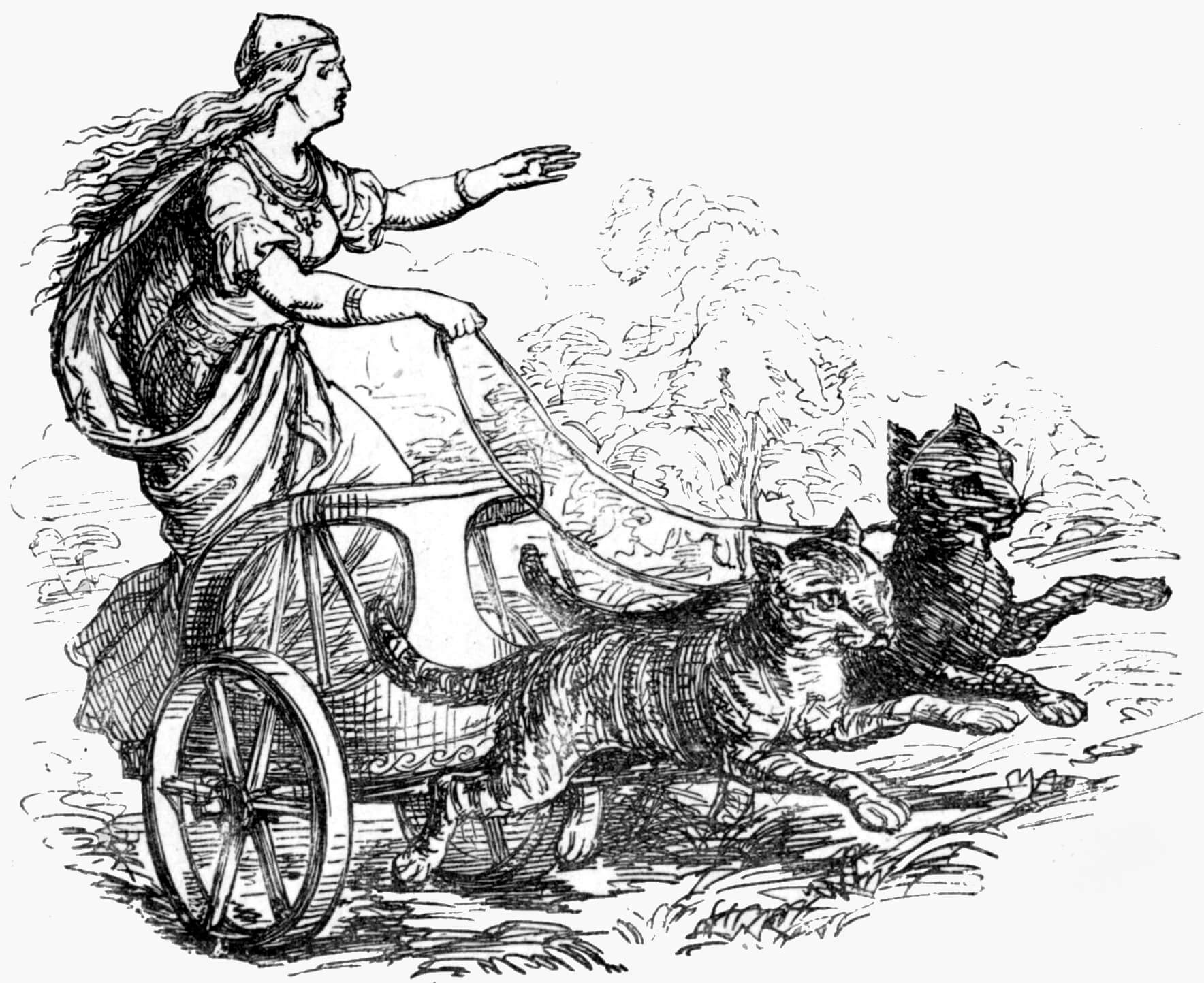 freya carruaje