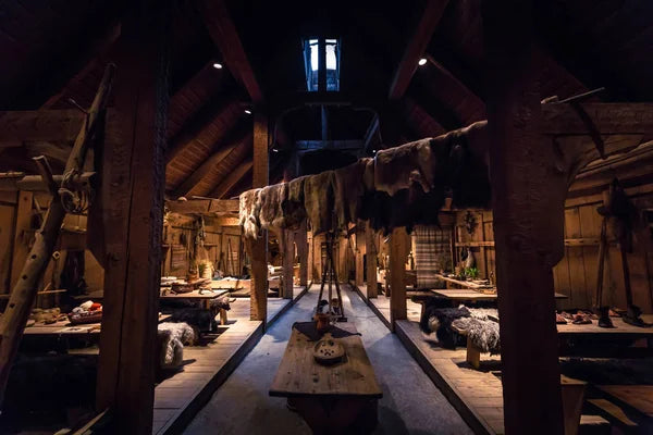 interior casa vikinga
