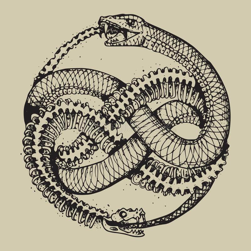 ouroboros criatura