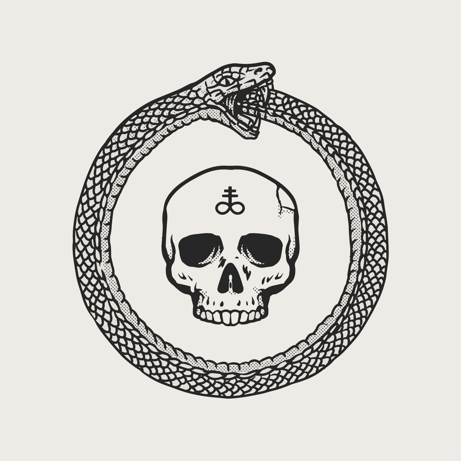 ouroboros serpiente dragon