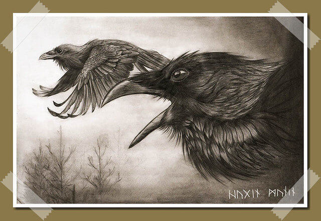 pajaros de odin