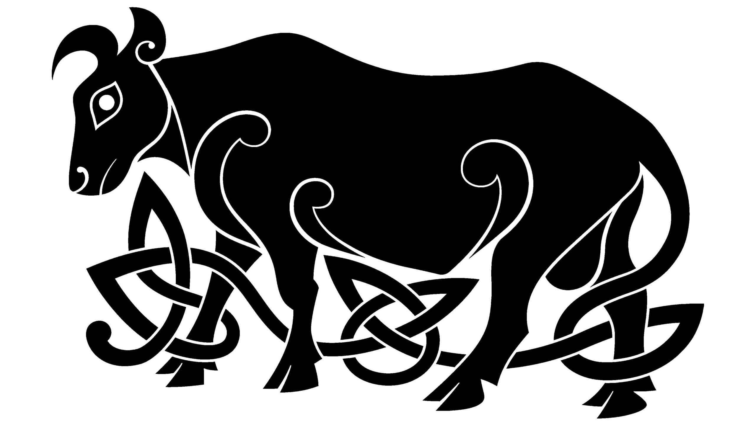 toro celta